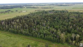 Photo 8: Hwy 43 Rge Rd 51: Rural Lac Ste. Anne County Rural Land/Vacant Lot for sale : MLS®# E4308086