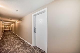 Photo 8: 214 2000 Applevillage Court SE in Calgary: Applewood Park Apartment for sale : MLS®# A2130391