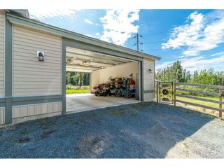 Photo 18: 41480 NO. 5 Road in Abbotsford: Sumas Prairie House for sale : MLS®# R2301427