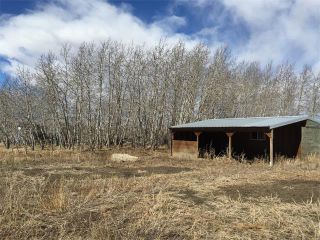 Photo 15: 32182 TWP RD 262 in Rural Rockyview County: Rural Rocky View MD House for sale : MLS®# C4006884