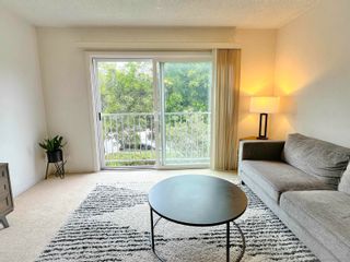 Main Photo: PACIFIC BEACH Condo for rent : 1 bedrooms : 1645 Emerald Street #2C in San Diego