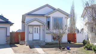 Main Photo: 87 Taralea Crescent NE in Calgary: Taradale Detached for sale : MLS®# A2124251