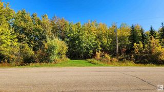 Photo 10: 133 51047 RGE RD 221: Rural Strathcona County Vacant Lot/Land for sale : MLS®# E4388450