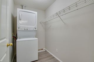 Photo 11: 124 260 Shawville Way SE in Calgary: Shawnessy Apartment for sale : MLS®# A2054690