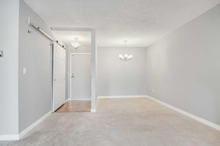 Photo 16: 203 2425 90 Avenue SW in Calgary: Palliser Apartment for sale : MLS®# A2126388