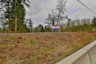 Photo 16: 5755 131A Street in Surrey: Panorama Ridge Land for sale : MLS®# R2147397