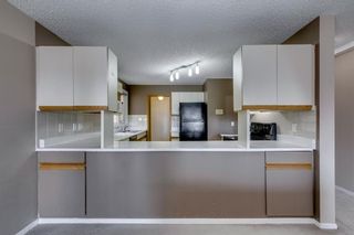 Photo 10: 303 333 2 Avenue NE in Calgary: Crescent Heights Apartment for sale : MLS®# A2032309