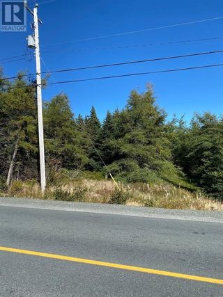 Photo 2: 456-460 Bauline Line in Torbay: Vacant Land for sale : MLS®# 1261661