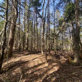 Photo 8: Lot 8 Old Trunk Highway 3 in Hebbs Cross: 405-Lunenburg County Vacant Land for sale (South Shore)  : MLS®# 202300313