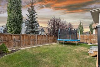 Photo 32: 25 Mahogany Terrace SE in Calgary: Mahogany Detached for sale : MLS®# A2004541