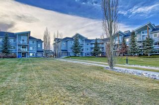Photo 46: 211 380 Marina Drive: Chestermere Apartment for sale : MLS®# A2095203