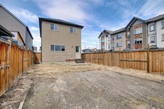 Photo 45: 484 COPPERPOND BV SE in Calgary: Copperfield House for sale : MLS®# C4292971