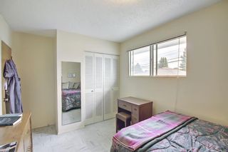 Photo 19: 1223 48 Avenue NW in Calgary: North Haven Detached for sale : MLS®# A1121377