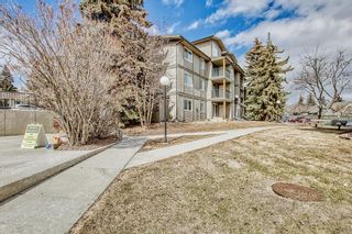 Photo 33: 812 6400 Coach Hill Road SW in Calgary: Coach Hill Apartment for sale : MLS®# A2039887