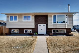 Photo 4: 137 Big Springs Rise SE: Airdrie Detached for sale : MLS®# A1193749
