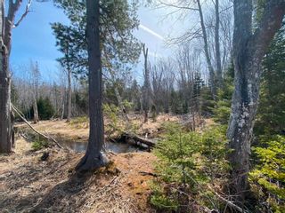 Photo 27: Lot 22 Lakeside Drive in Little Harbour: 108-Rural Pictou County Vacant Land for sale (Northern Region)  : MLS®# 202207910