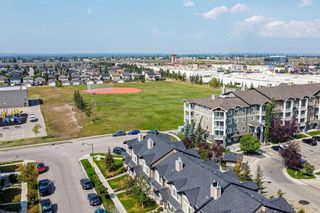 Photo 31: 4207 115 Prestwick Villas SE in Calgary: McKenzie Towne Apartment for sale : MLS®# A2076074