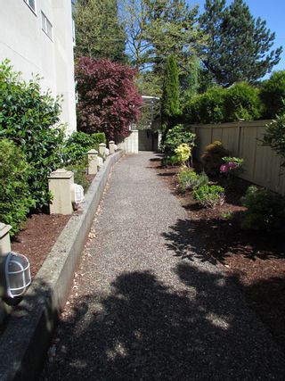 Photo 18: 8 33862 MARSHALL Road in ABBOTSFORD: Central Abbotsford Condo for rent (Abbotsford) 