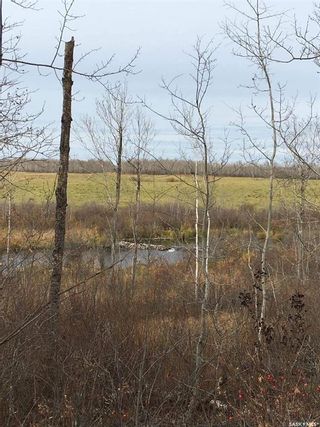 Photo 3: Acreage-adjacent to South Bay Turtle Lake in Turtle Lake: Lot/Land for sale : MLS®# SK914036