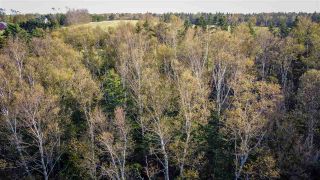 Photo 4: JP-1 Old Baxter Mill Road in Baxters Harbour: 404-Kings County Vacant Land for sale (Annapolis Valley)  : MLS®# 202021658