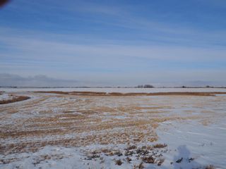 Photo 5: 13600 east hwy 22x Highway E in Rural Rocky View County: Rural Rocky View MD Residential Land for sale : MLS®# A1172759