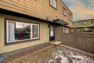 Photo 35: 142 3809 45 Street SW in Calgary: Glenbrook Row/Townhouse for sale : MLS®# A1176807