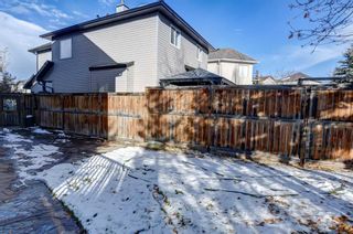 Photo 45: 240 Royal Birch Mews NW in Calgary: Royal Oak Detached for sale : MLS®# A2091681