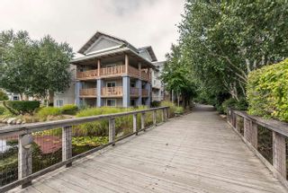 Photo 18: 305 5600 ANDREWS Road in Richmond: Steveston South Condo for sale in "THE LAGOONS" : MLS®# R2209894