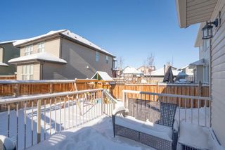 Photo 38: 202 Chaparral Valley Way SE in Calgary: Chaparral Detached for sale : MLS®# A2010511