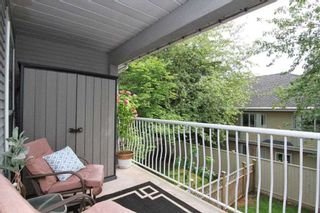 Photo 16: 105 22950 116 AVENUE in Maple Ridge: East Central Townhouse for sale : MLS®# R2377323