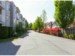 Photo 3: 309 9942 151ST Street in Surrey: Guildford Condo for sale in "WINCHESTER" (North Surrey)  : MLS®# F1412007