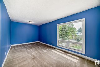 Photo 49: 12407 GRAND VIEW Drive NW in Edmonton: Zone 15 House for sale : MLS®# E4390216