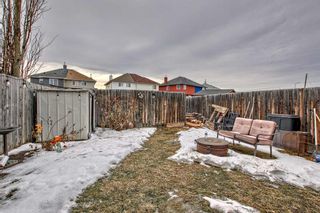 Photo 31: 53 Saddlebrook Common NE in Calgary: Saddle Ridge Semi Detached (Half Duplex) for sale : MLS®# A2103241