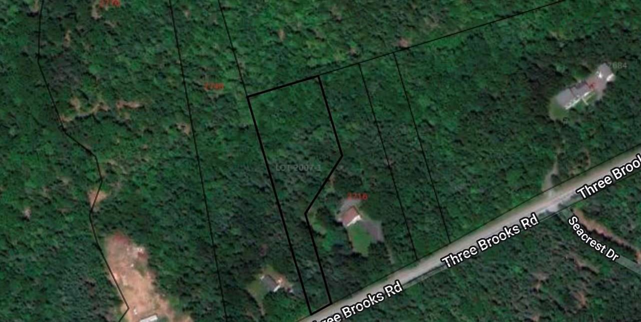 Main Photo: Lot 2007-1 Three Brooks Road in Braeshore: 108-Rural Pictou County Vacant Land for sale (Northern Region)  : MLS®# 202208765