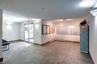 Photo 33: 2311 6224 17 Avenue SE in Calgary: Red Carpet Apartment for sale : MLS®# A1226708
