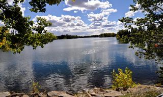 Photo 39: 43 Lake Twintree Bay in Calgary: Lake Bonavista Detached for sale : MLS®# A1232655
