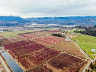 Photo 16: 8201 DYKE Road in Abbotsford: Bradner Agri-Business for sale : MLS®# C8049062
