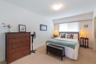 Photo 14: 3690 Doncaster Dr in Saanich: SE Cedar Hill House for sale (Saanich East)  : MLS®# 903150