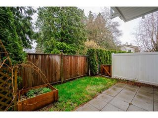 Photo 26: 20 8968 208 Street in Langley: Walnut Grove Townhouse for sale in "Cambridge Court" : MLS®# R2680143
