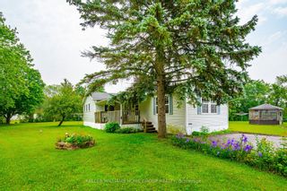 Photo 1: 18 Third Avenue in Wellington North: Rural Wellington North House (Bungalow) for sale : MLS®# X6640906