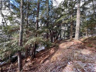 Photo 9: Lot 24 Domino Drive in Westfield: Vacant Land for sale : MLS®# 202325277