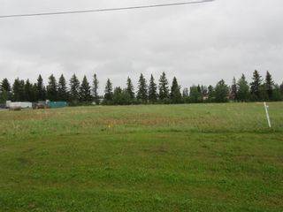 Photo 4: 4819 57 Ave: Eckville Industrial Land for sale : MLS®# A1193687
