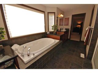 Photo 9:  in Edmonton: Summerside House for sale : MLS®# E3288091