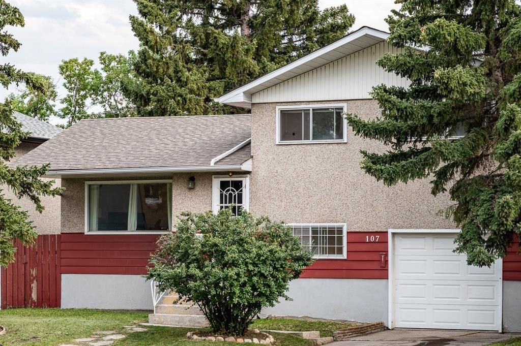 Main Photo: 107 Blackthorn Road NE in Calgary: Thorncliffe Detached for sale : MLS®# A1244650