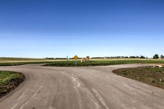 Photo 7: Lot 12 286 Ave W: Rural Foothills County Residential Land for sale : MLS®# A2049868