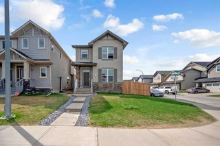 Main Photo: 15 Skyview Point Road NE in Calgary: Skyview Ranch Detached for sale : MLS®# A2133895