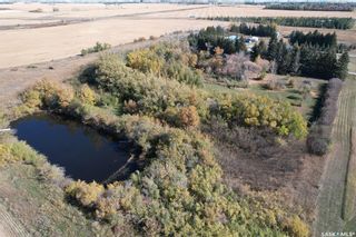Photo 13: 60 Acre Hobby Farm RM of Edenwold No 158 in Edenwold: Farm for sale (Edenwold Rm No. 158)  : MLS®# SK910461