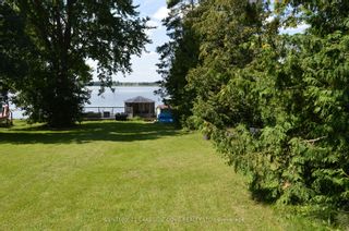 Photo 16: 99 Campbell Beach Road in Kawartha Lakes: Rural Carden Property for sale : MLS®# X6758448