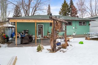 Photo 22: 9832 5 Street SE in Calgary: Acadia Detached for sale : MLS®# A1184105
