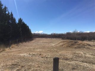 Photo 11: 32182 TWP RD 262 in Rural Rockyview County: Rural Rocky View MD House for sale : MLS®# C4006884